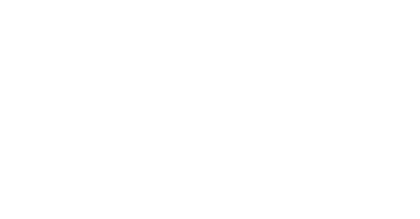 Digimaq