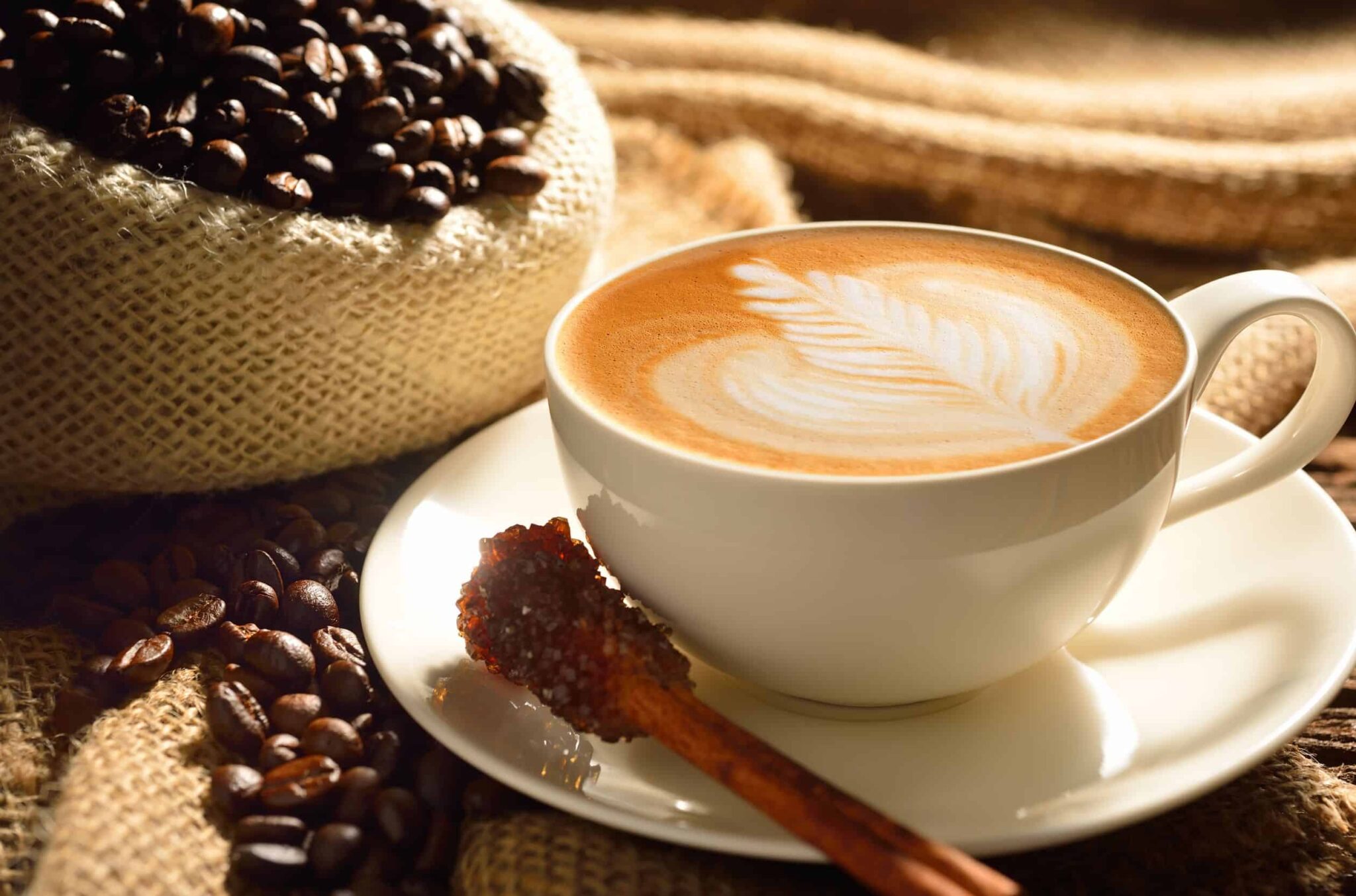 Cappuccino Tradicional - Equipa tu negocio en Digimaq.cl