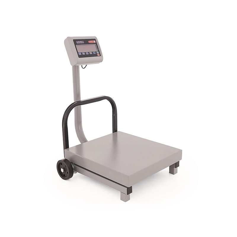 Balanza-digital-Torrey-de-piso-500kg-FS-500.jpg